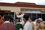 PAYAL_WEDDING-tr Image_0855